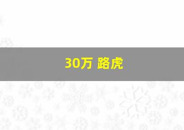 30万 路虎